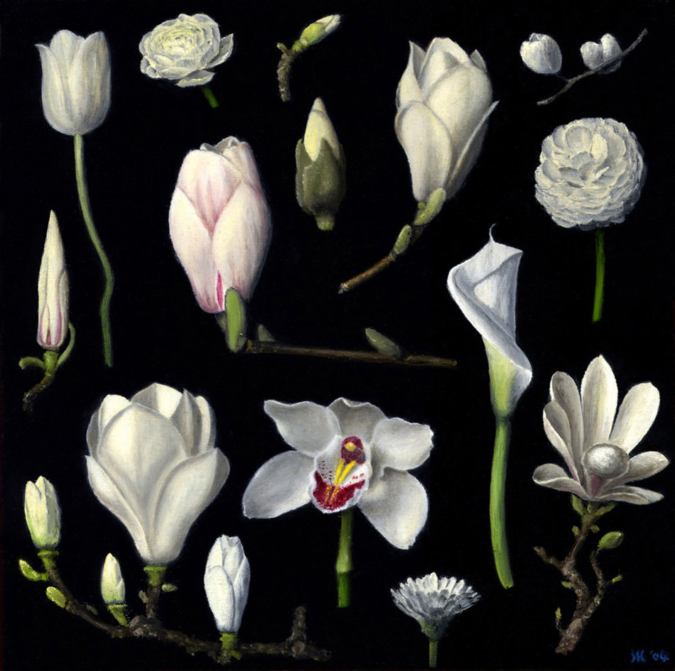 Sandoz Lab Technicians: New Botany 2LP