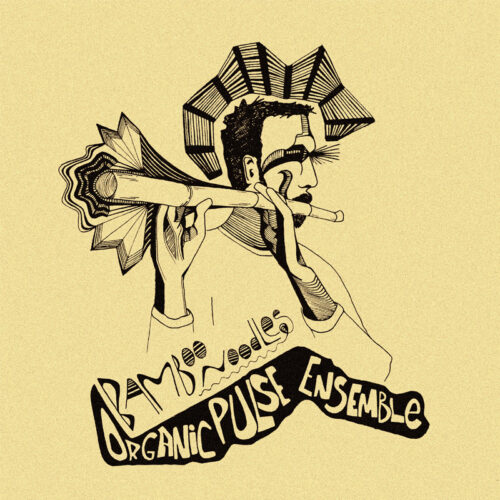 Organic Pulse Ensemble: Bamboo Noodles 10"