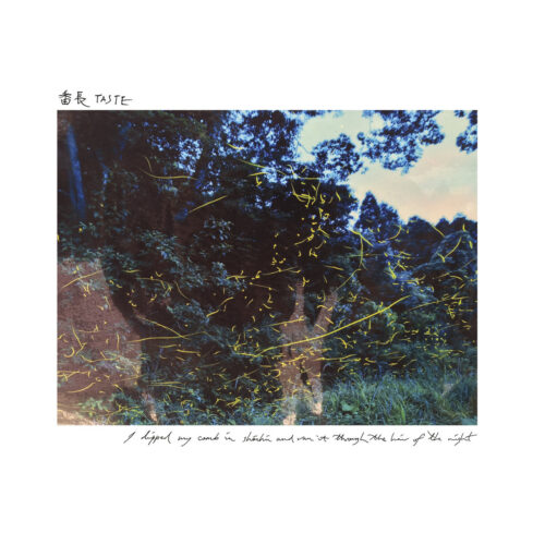 番⻑ TASTE: I dipped my comb in shochu and ran it through the hair of the night LP