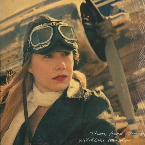 Them Bird Things: Wildlike Wonder CD