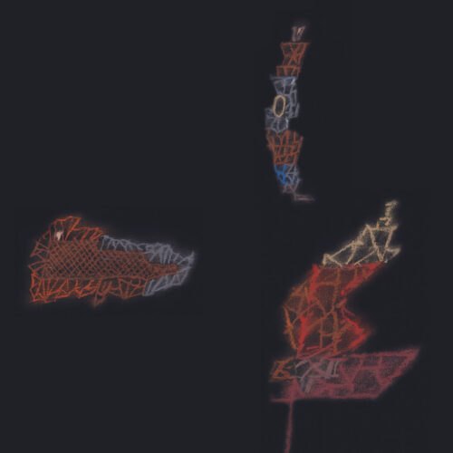 Warm Currency: Petals LP