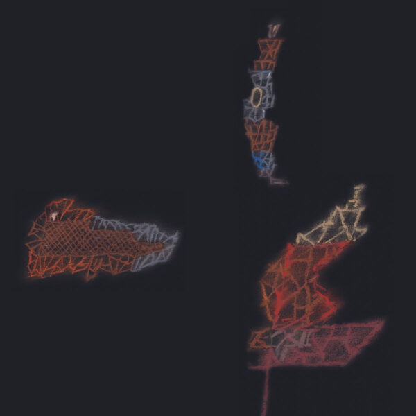 Warm Currency: Petals LP