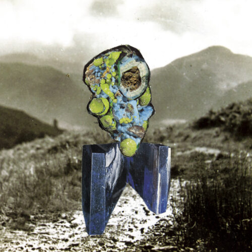 Richard Dawson: The Glass Trunk 2LP