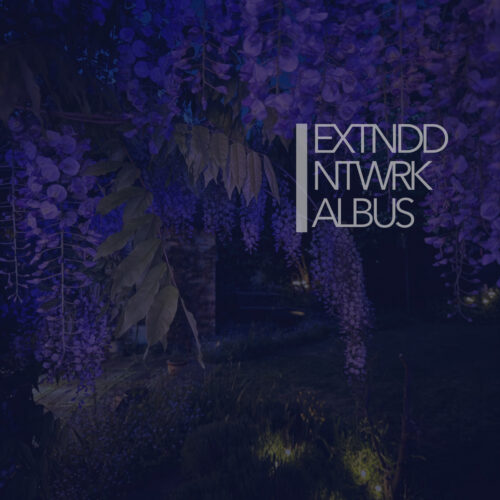 Extnddntwrk: Albus 2LP