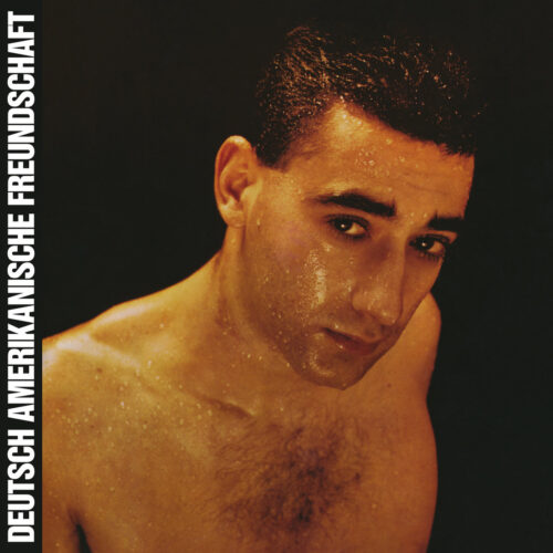 DAF: Alles Ist Gut LP