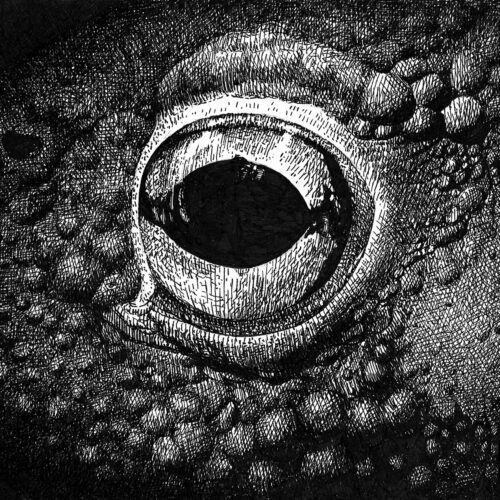 Aarniseppä: Rupikonna CD