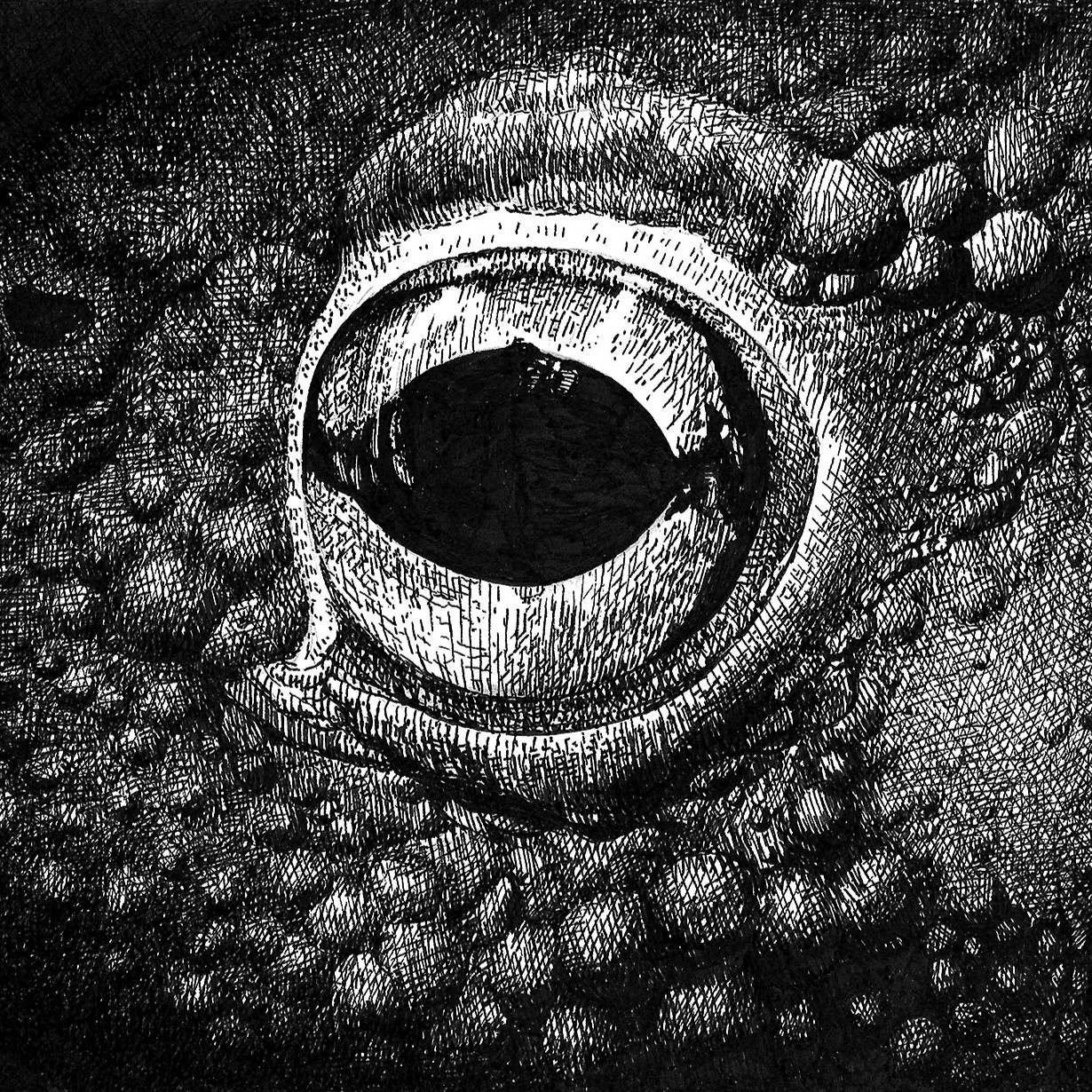 Aarniseppä: Rupikonna CD