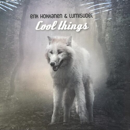 Erik Hokkanen & Lumisudet: Cool Things CD