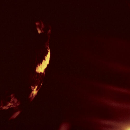 Skepticism: Stormcrowfleet (30th Anniversary Edition) 2LP