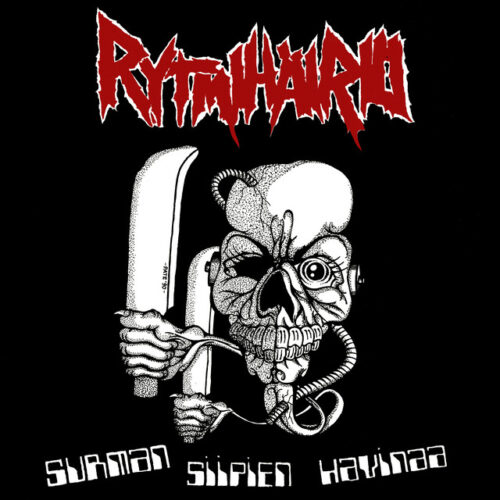 Rytmihäiriö: Surman siipien havinaa LP