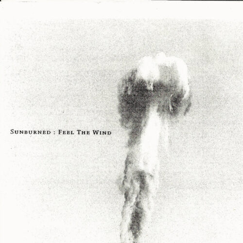 Sunburned Hand of the Man: Feel the Wind CDR