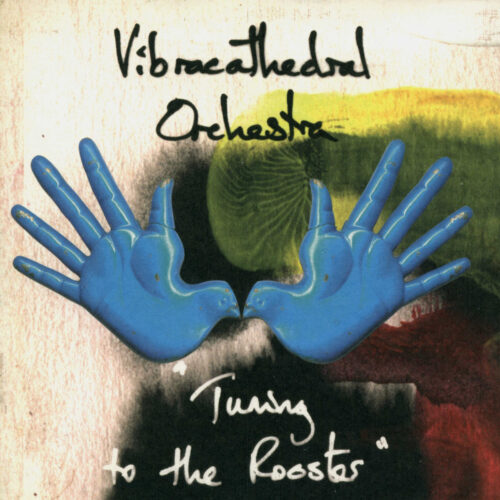 Vibracathedral Orchestra: Tuning to the Rooster CD