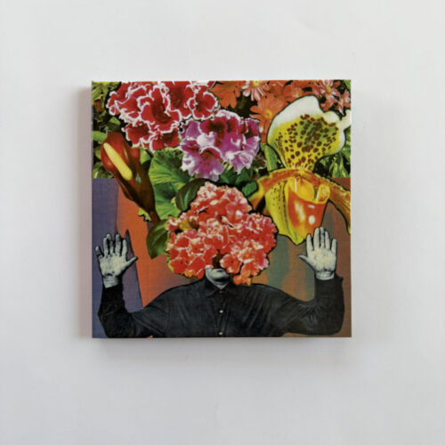 Monocyclocybercilia: Lyserkinesis CD