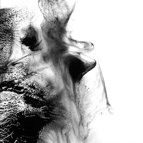 The Stargazer's Assistant: Mirrors & Tides, Shivers & Voids 10"