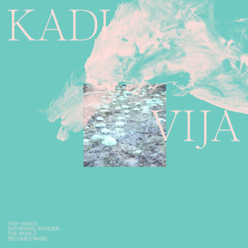 Kadi Vija: Tiny Hands Gathering Wonder, The World Becomes Magic LP