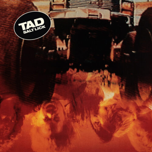 Tad: Salt Lick LP