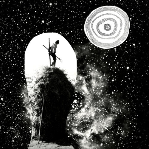 False Berries: Find the Gyres LP