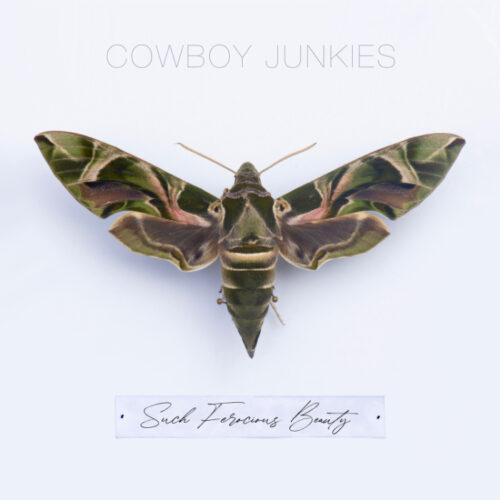 Cowboy Junkies: Such Ferocious Beauty CD