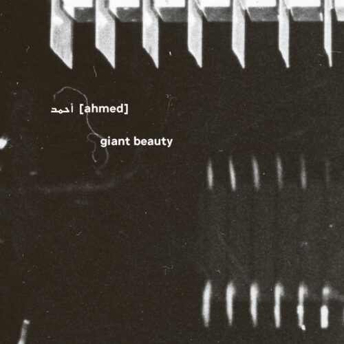 أحمد [Ahmed]: Giant Beauty 5CD