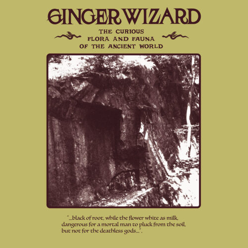 Ginger Wizard: The Curious Flora and Fauna of the Ancient World LP