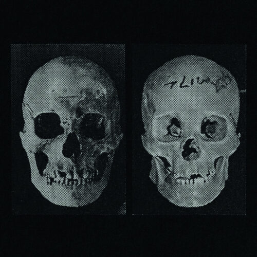 Government Alpha: The Human Race Was Restored To Life Repeatedly LP