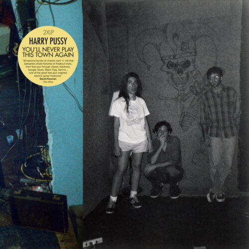 Harry Pussy: You'll Never Play This Town Again 2LP