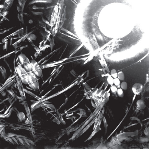 The Bug: Machine 2LP
